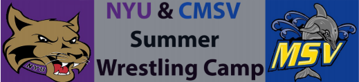 NYU Camp